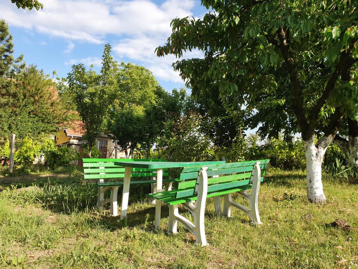 Vila Rio - Obronci Fruske Gore Villa Slankamen Vinogradi Buitenkant foto